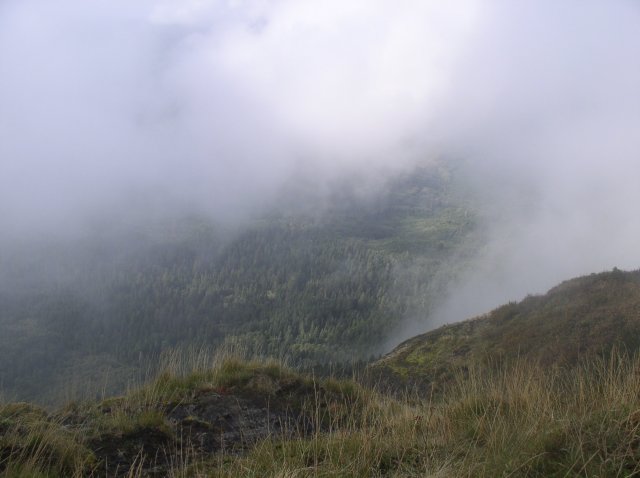 Saddle Mountain Oct 9 2005 051 